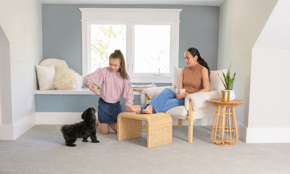 Carpet Cleaning by Chem-Dry